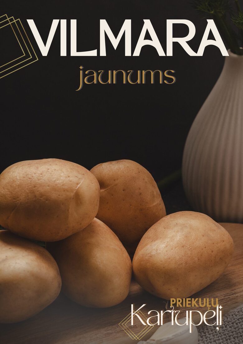 Kartupeļu šķirne 'Vilmara', Foto: I.Jaunalksne