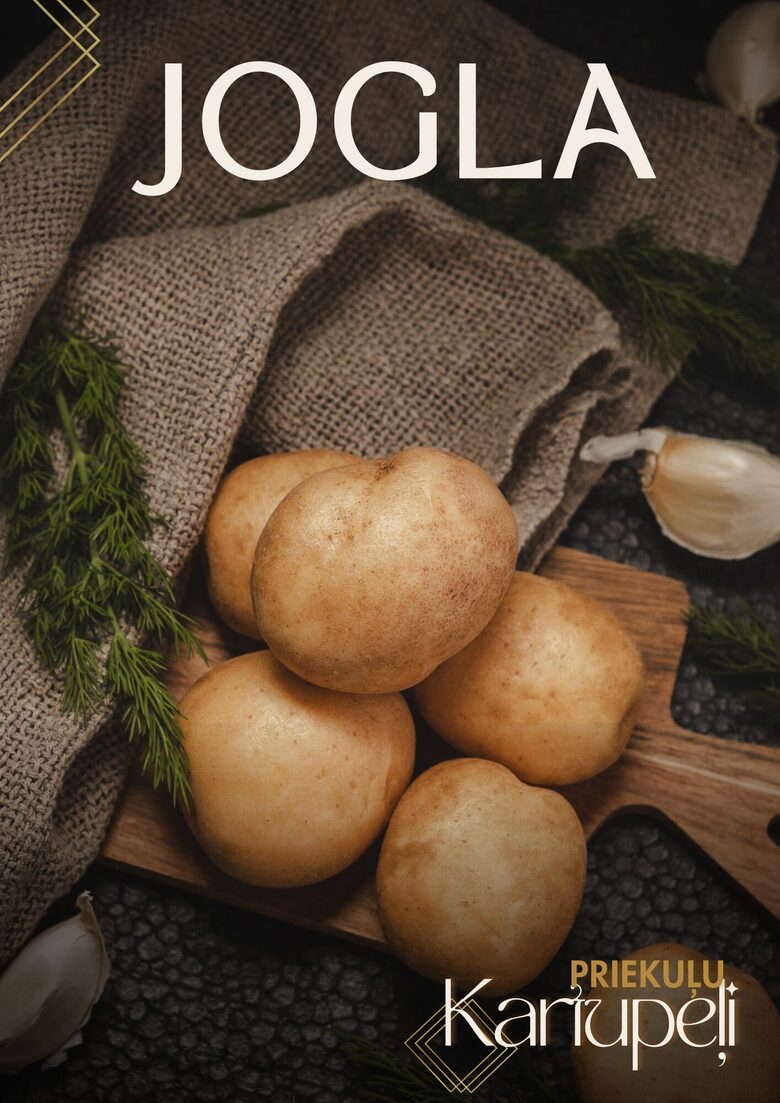 Kartupeļu šķirne 'Jogla', Foto: I.Jaunalksne