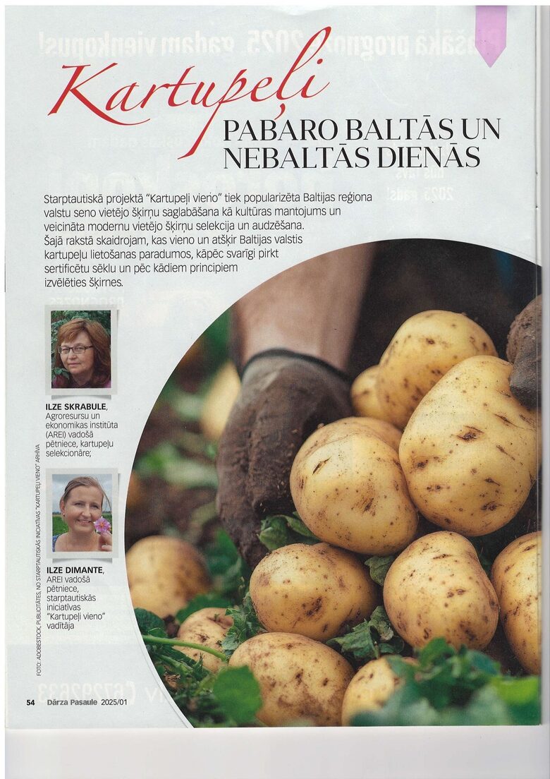 Intervija ar Ilzi Skrabuli un Ilzi Dimante par kartupeļiem. Dārza pasaule