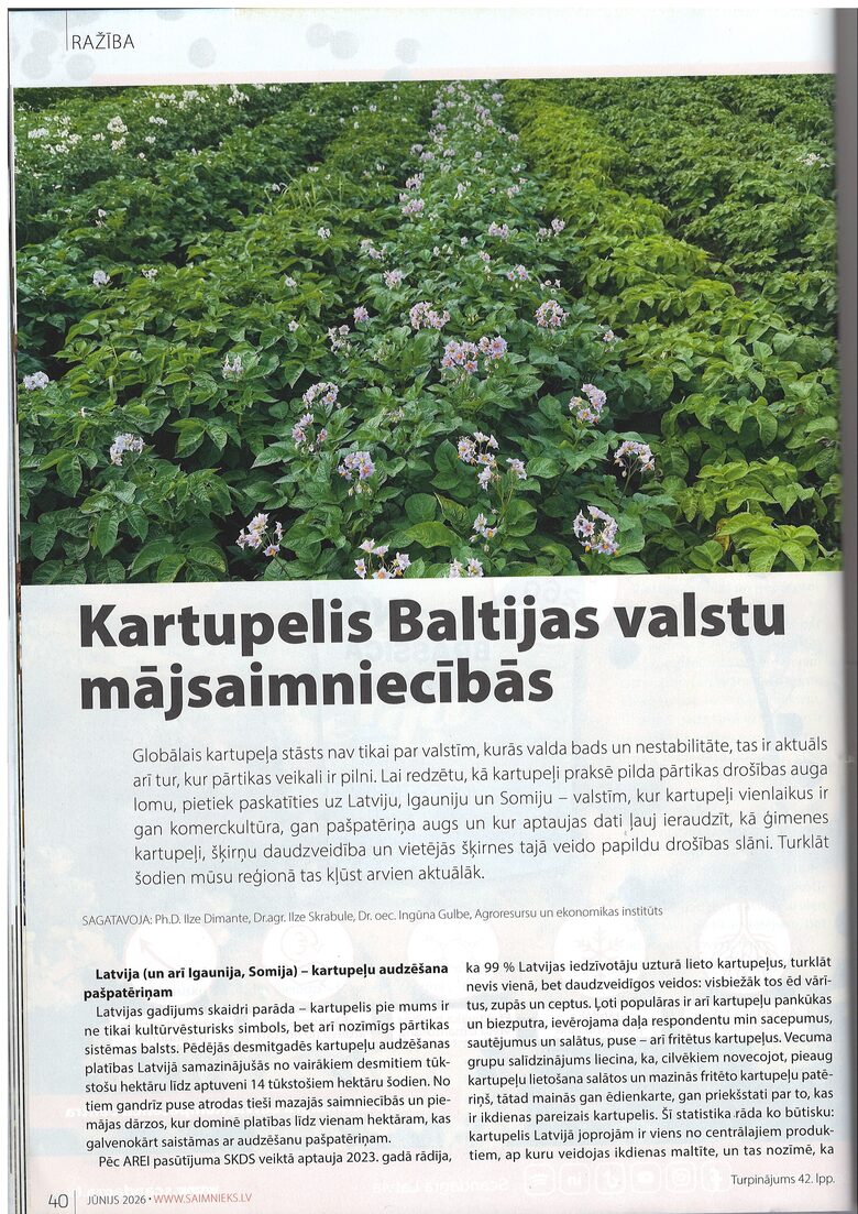 Kartupeļu patēriņš, audzēšana, šķirnes