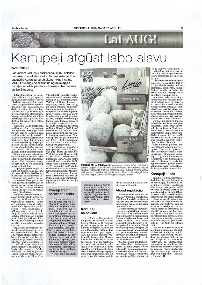 Kartupeļi, intervija Saldus Zeme. Ilze Dimante, Ilze Skrabule