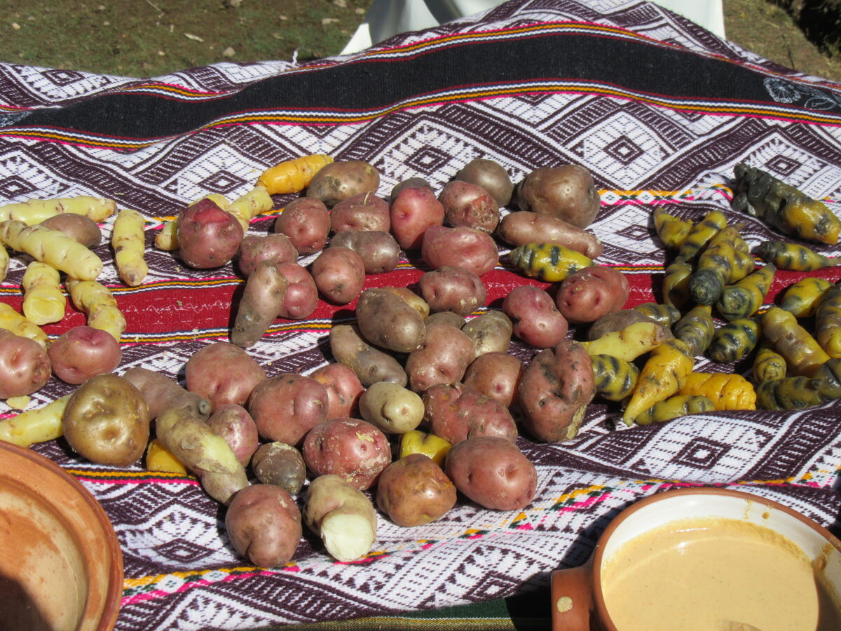Peru_potatoes__2_.JPG