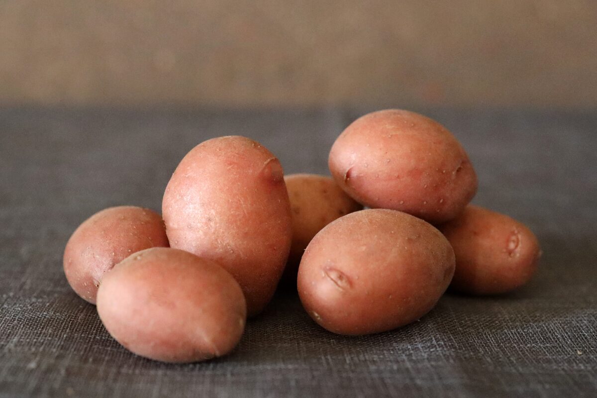 Kartupeļu šķirne 'Vāle' Foto: S. Cērpiņa